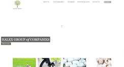 Desktop Screenshot of halex-group.com
